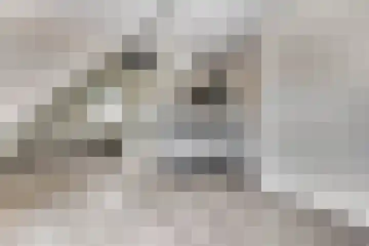 Beukenlaan 2 C 6 Ede thumbnail 4