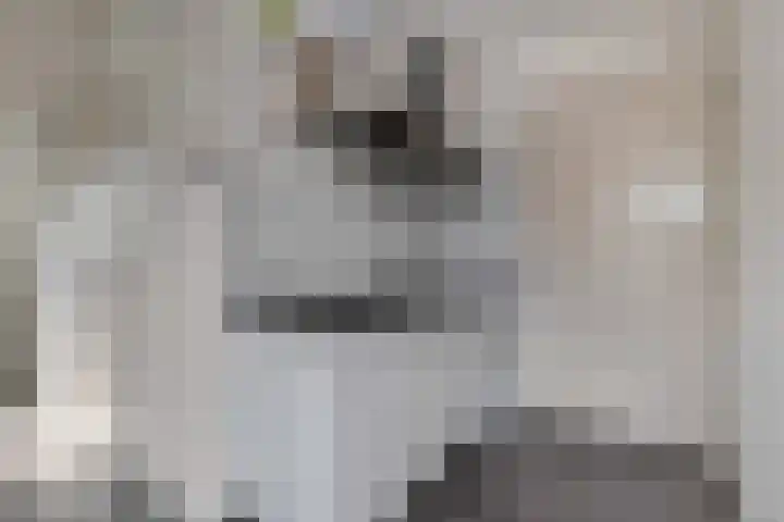 Beukenlaan 2 C 6 Ede thumbnail 6