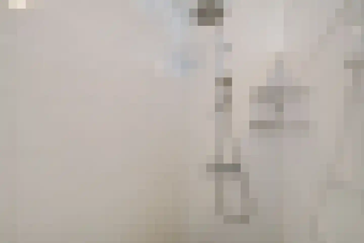 Beukenlaan 2 Heerde thumbnail 19