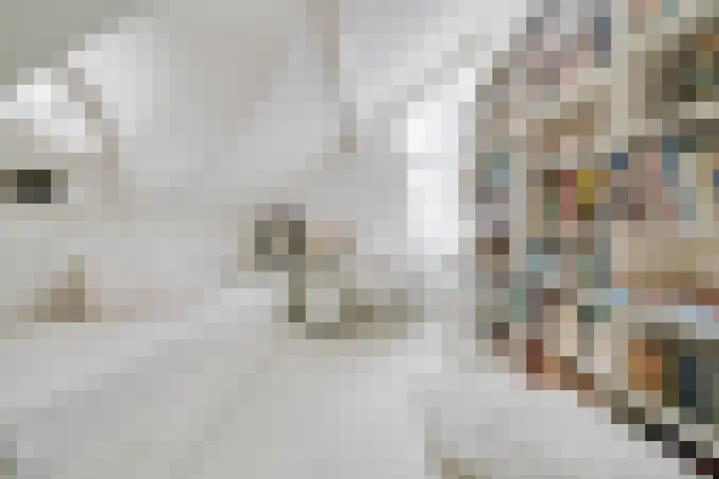 Beukenlaan 2 Heerde thumbnail 28