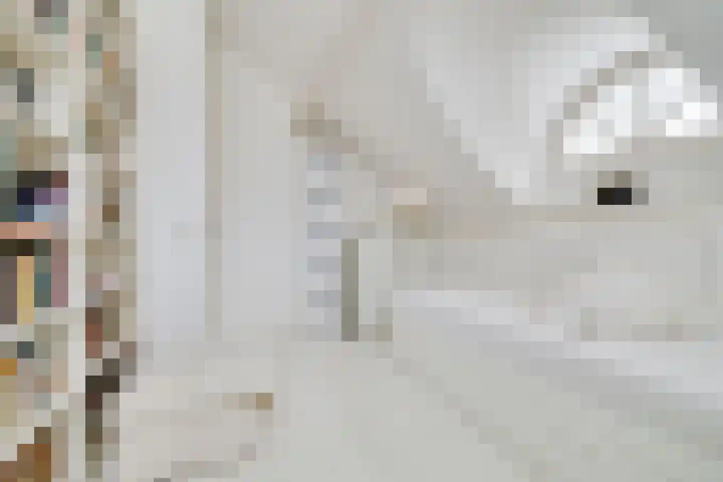 Beukenlaan 2 Heerde thumbnail 29