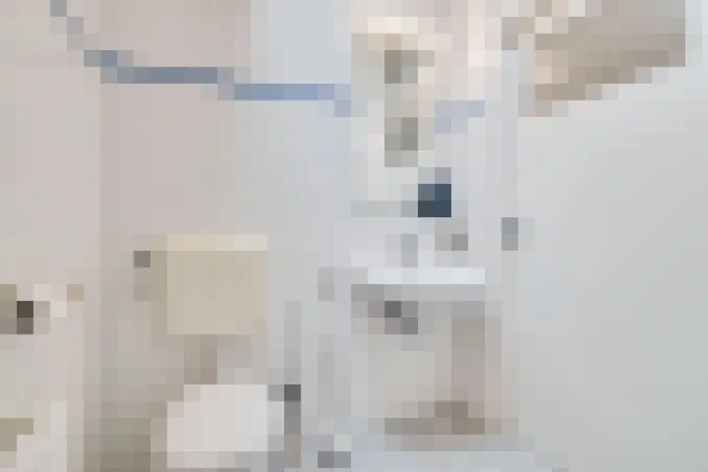 Beukenlaan 2 Heerde thumbnail 32
