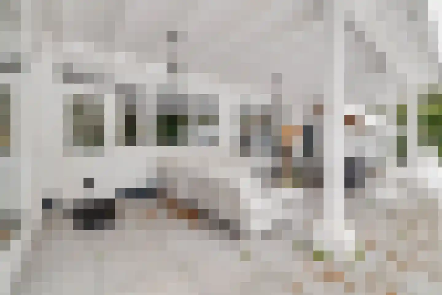 Beukenlaan 2 Heerde thumbnail 34