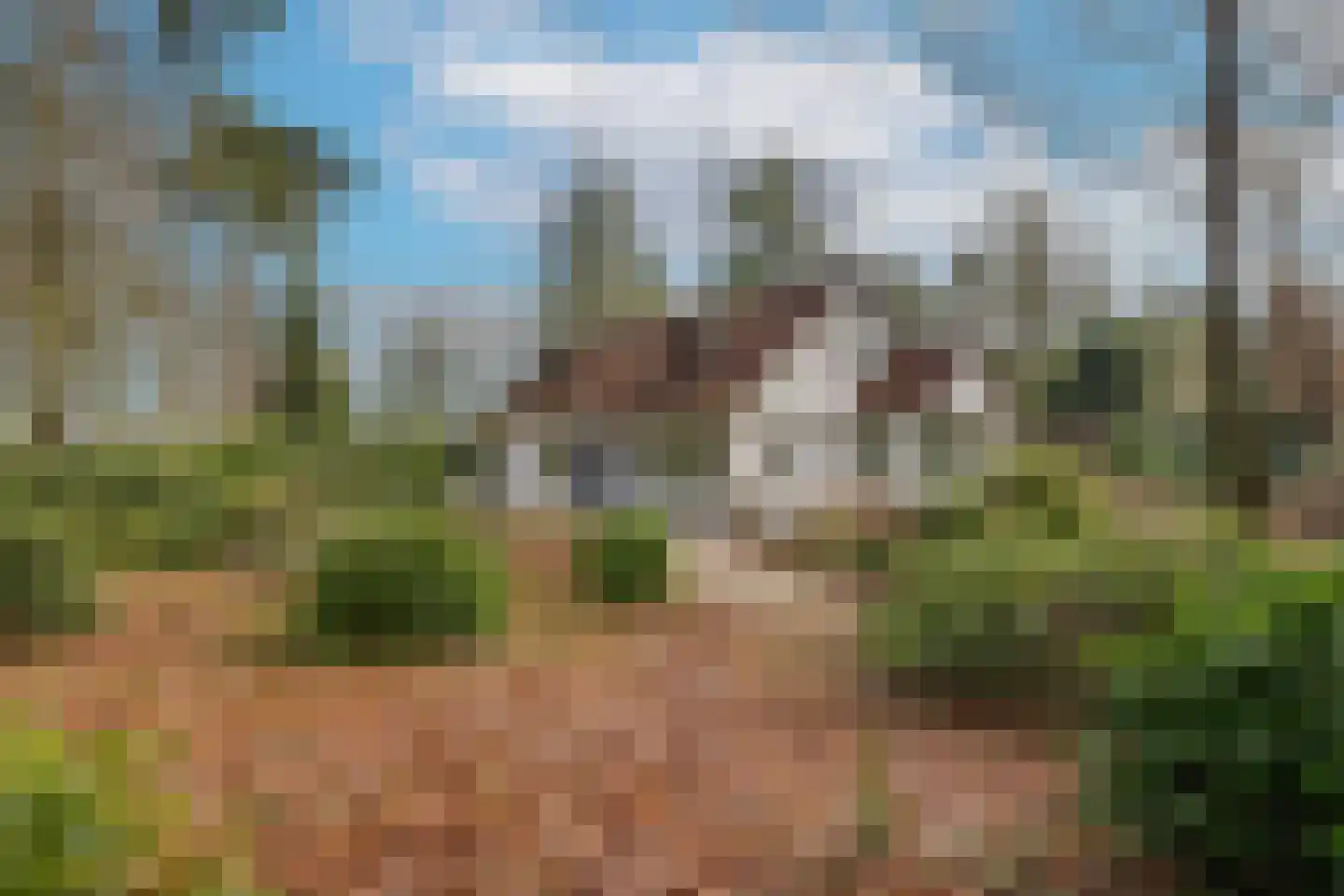 Beukenlaan 2 Heerde thumbnail 49