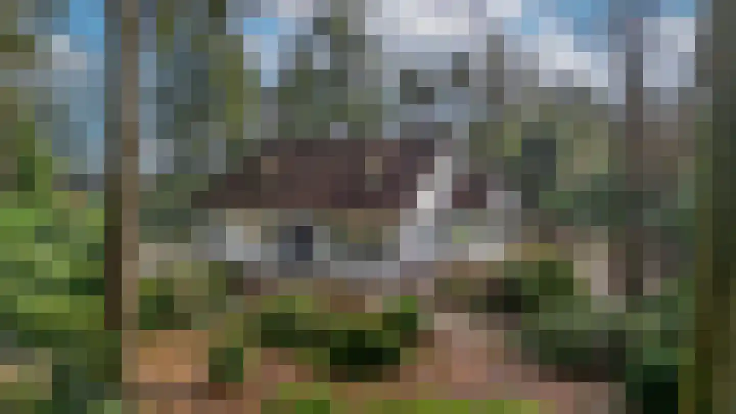 Beukenlaan 2 Heerde thumbnail 52