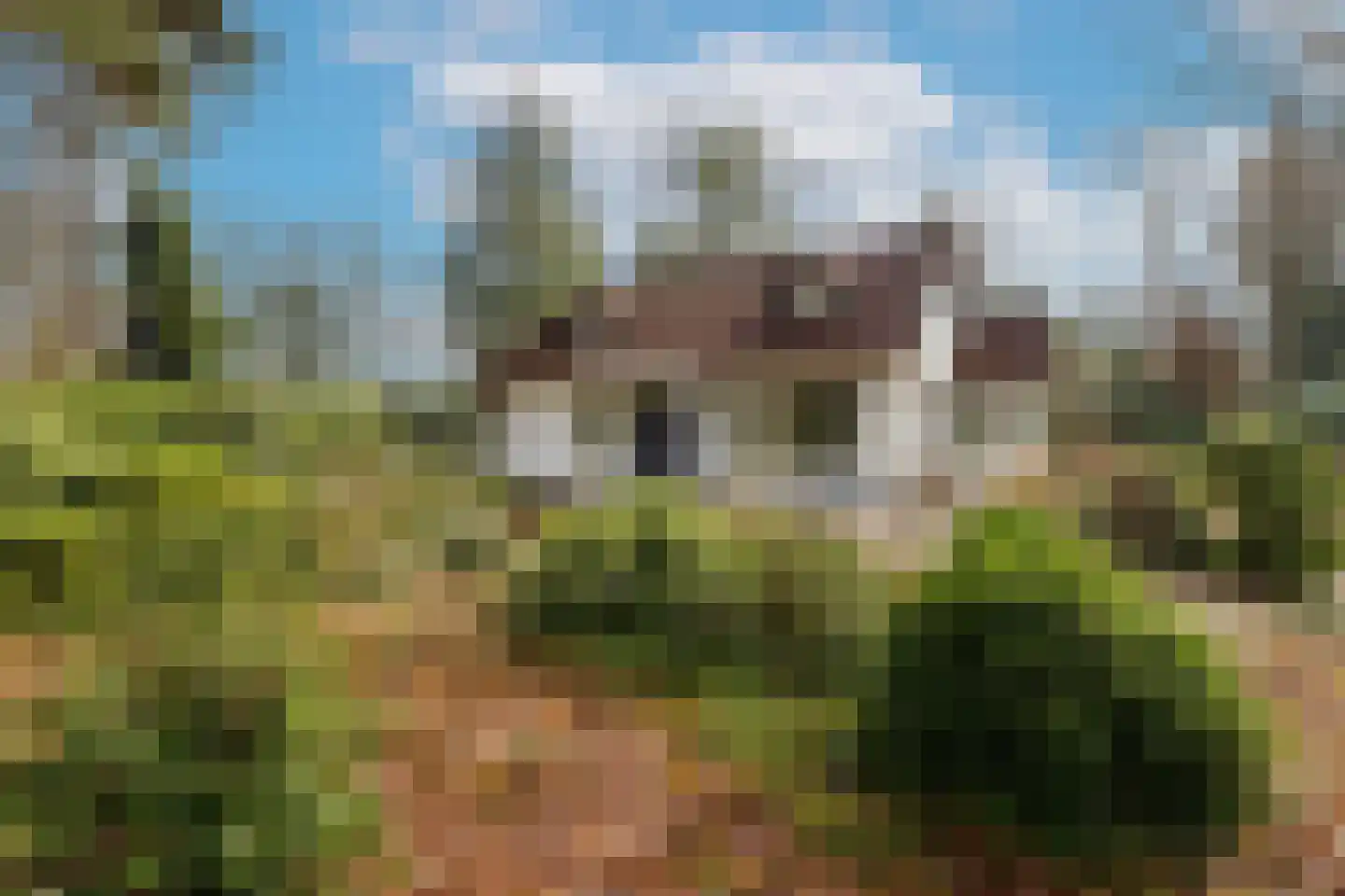 Beukenlaan 2 Heerde thumbnail 53
