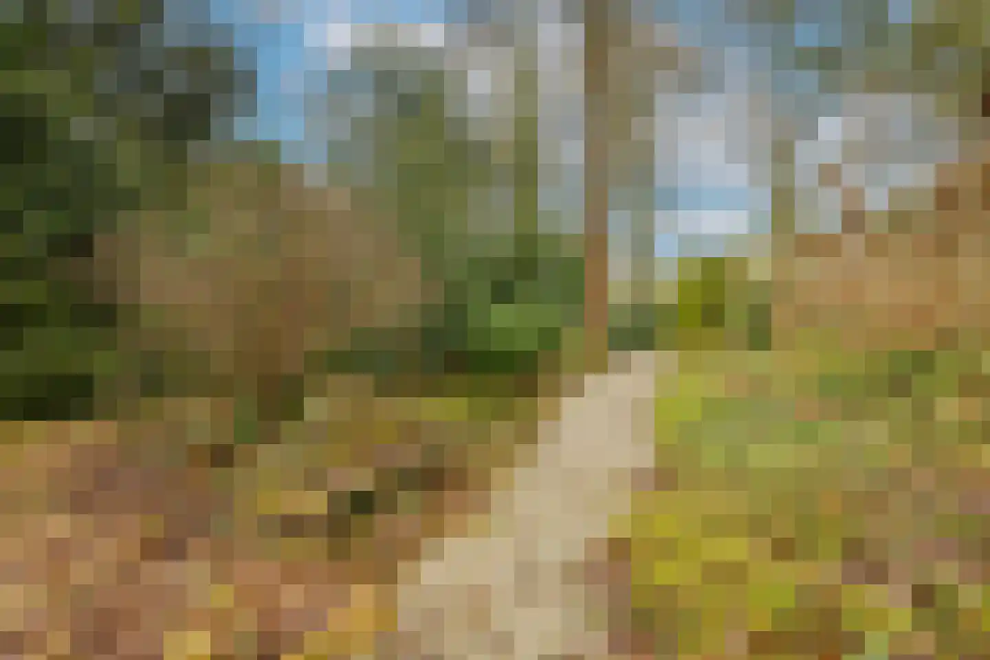 Beukenlaan 2 Heerde thumbnail 54