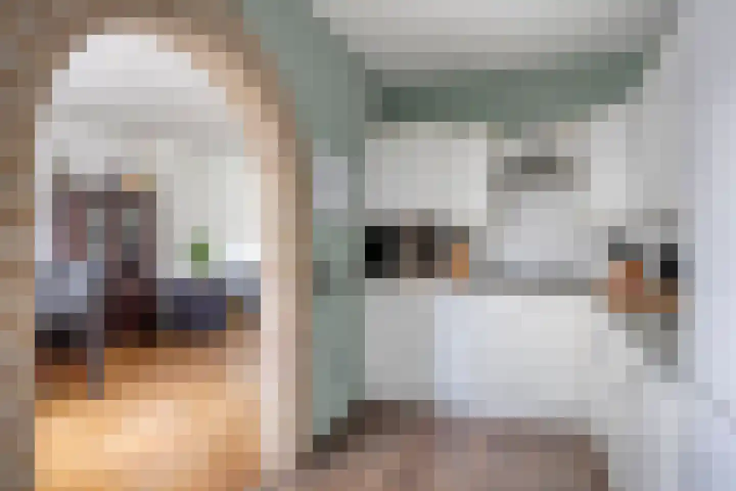 Beukenlaan 2 Middenmeer thumbnail 14