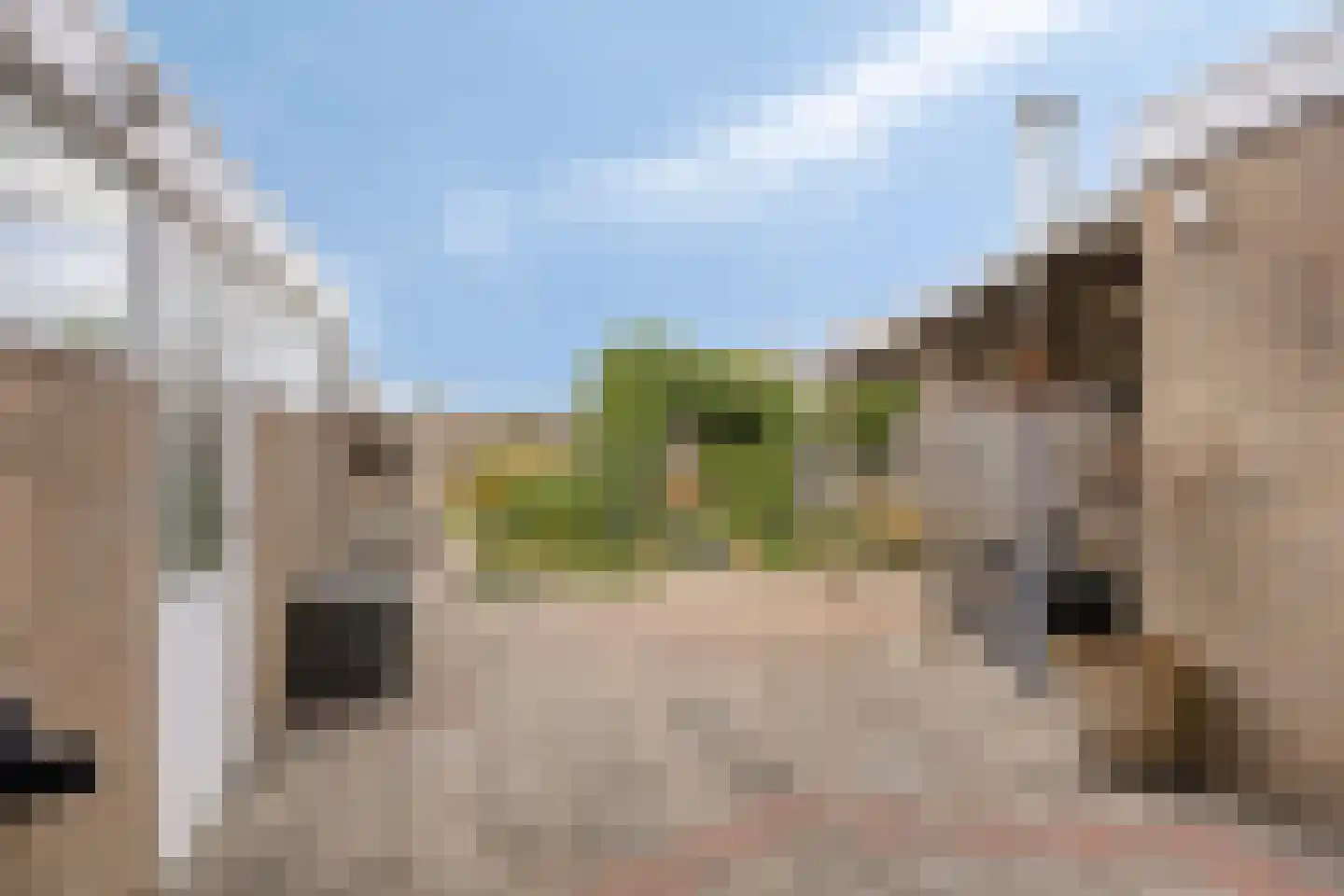 Beukenlaan 2 Middenmeer thumbnail 35
