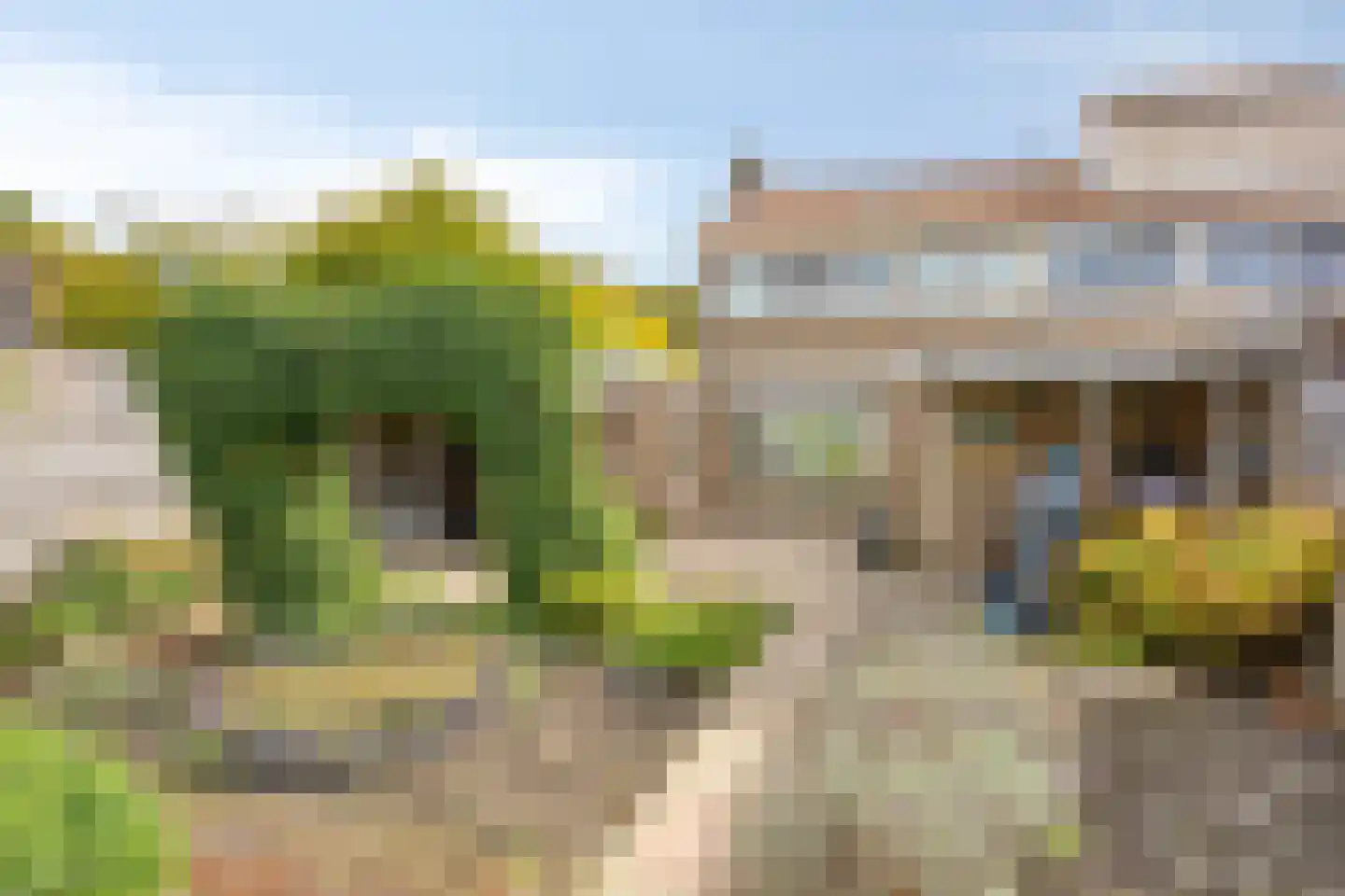 Beukenlaan 2 Middenmeer thumbnail 36