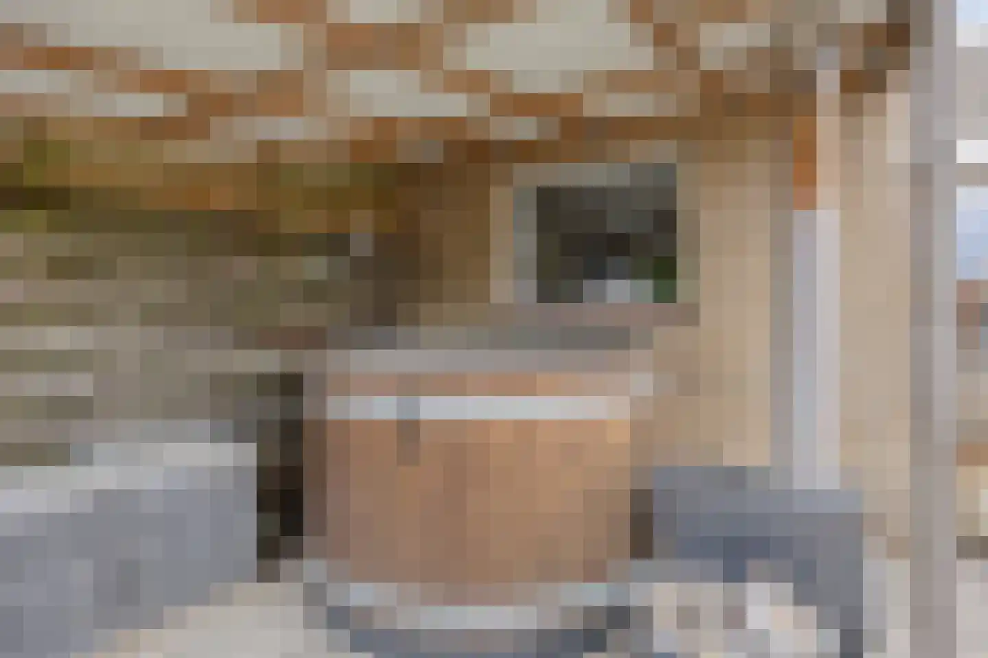 Beukenlaan 2 Middenmeer thumbnail 38