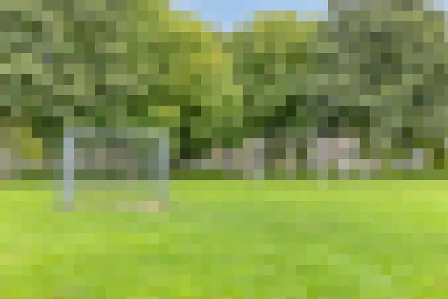 Beukenlaan 2 Middenmeer thumbnail 42