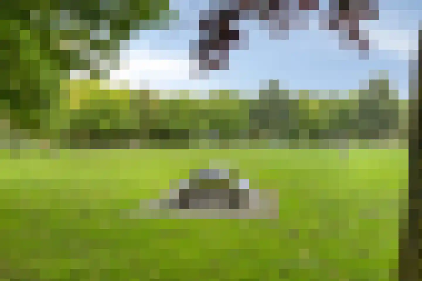 Beukenlaan 2 Middenmeer thumbnail 44