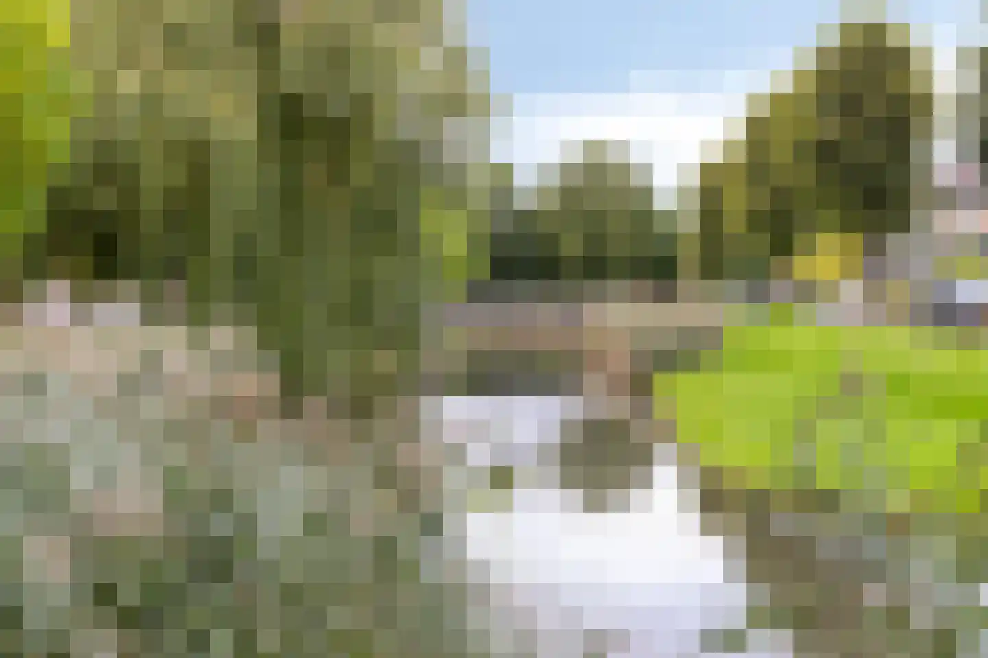 Beukenlaan 2 Middenmeer thumbnail 45