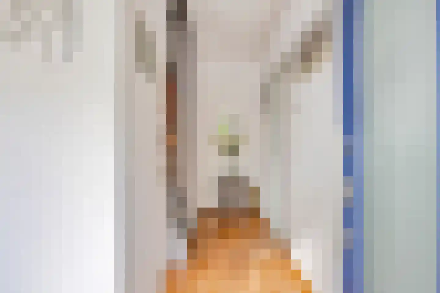 Beukenlaan 2 Middenmeer thumbnail 7