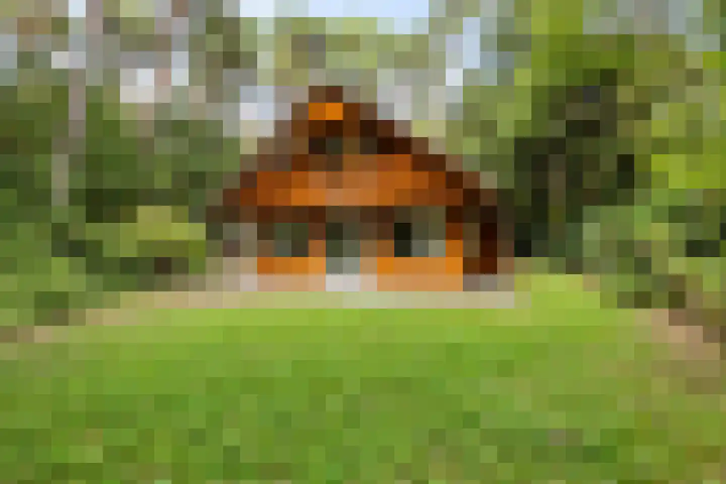 Beukenlaan 2 Norg