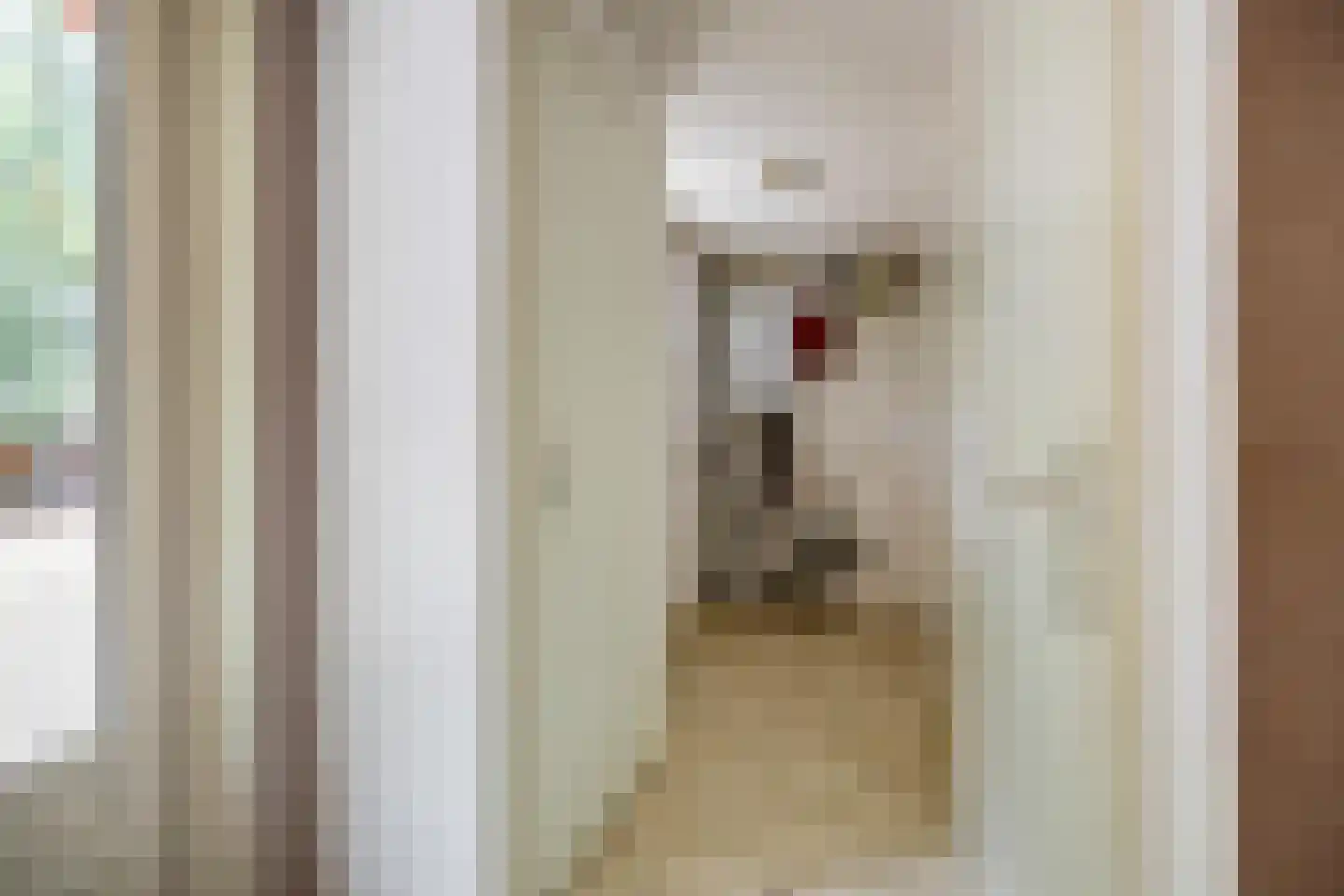 Beukenlaan 2 Norg thumbnail 14