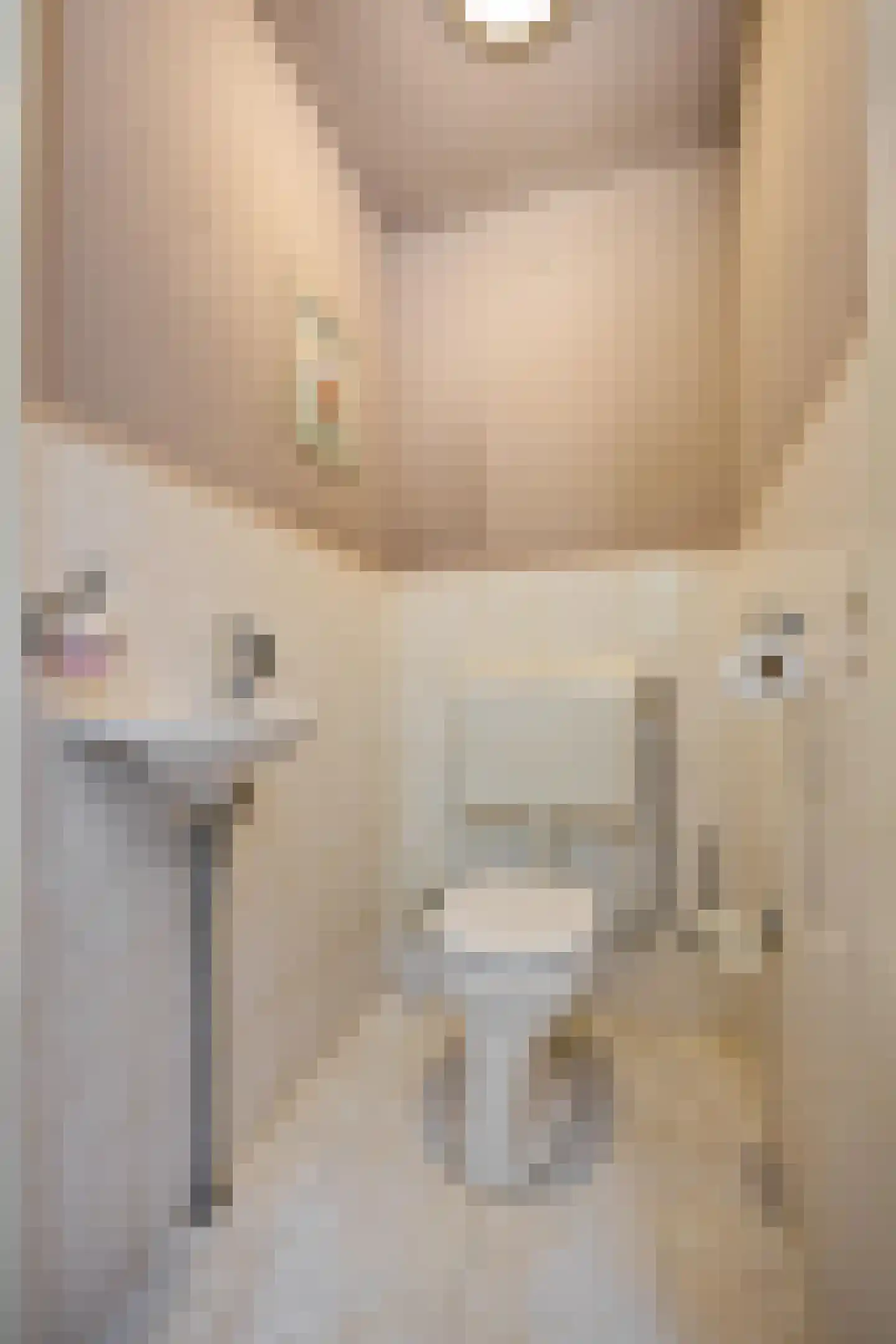 Beukenlaan 2 Norg thumbnail 15