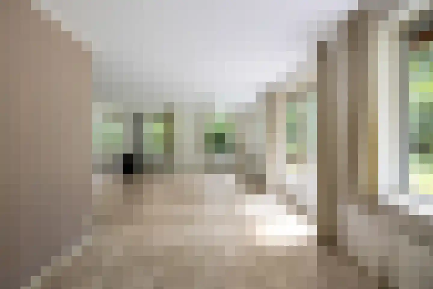 Beukenlaan 2 Norg thumbnail 20