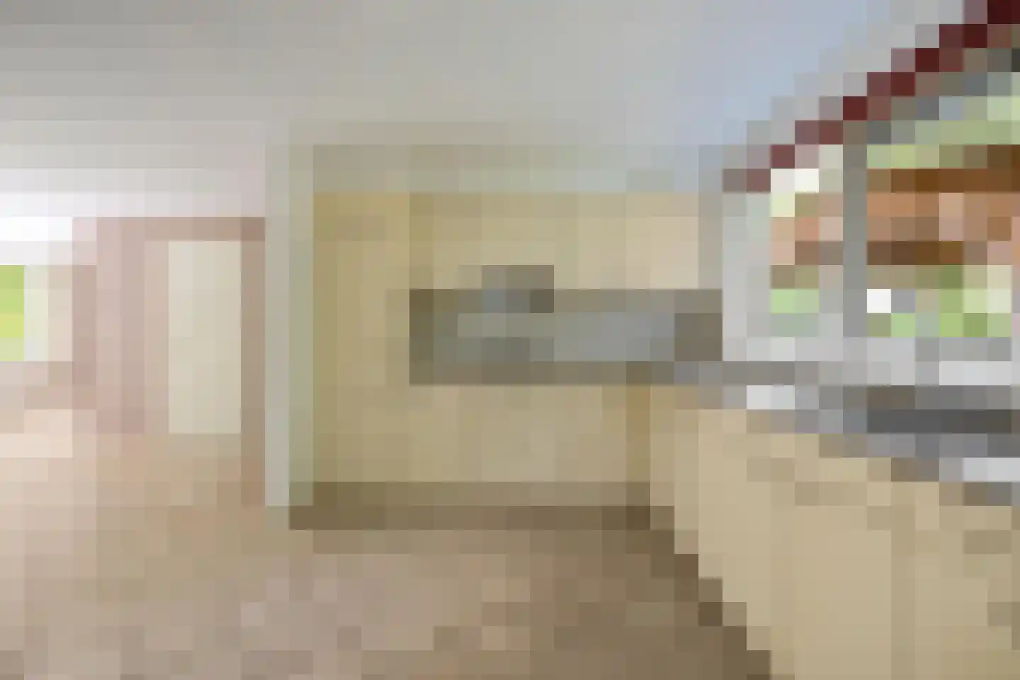 Beukenlaan 2 Norg thumbnail 22
