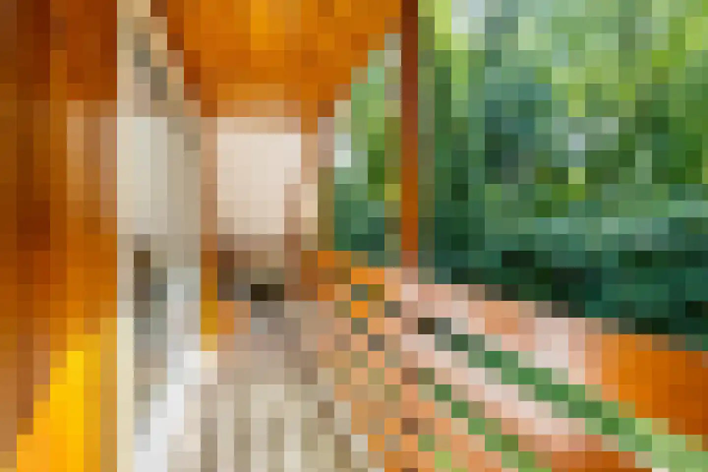 Beukenlaan 2 Norg thumbnail 36