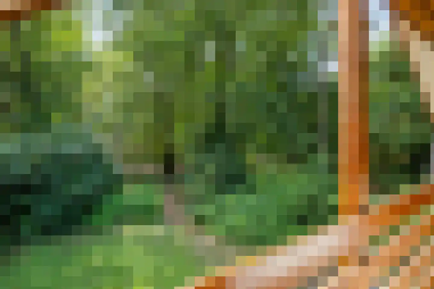 Beukenlaan 2 Norg thumbnail 37