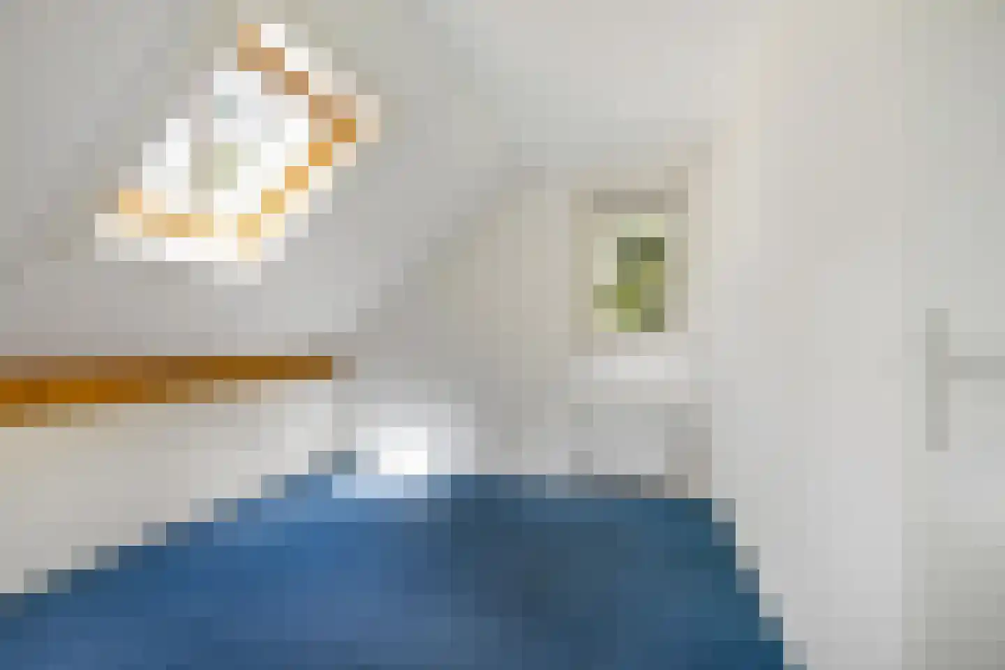 Beukenlaan 2 Norg thumbnail 42