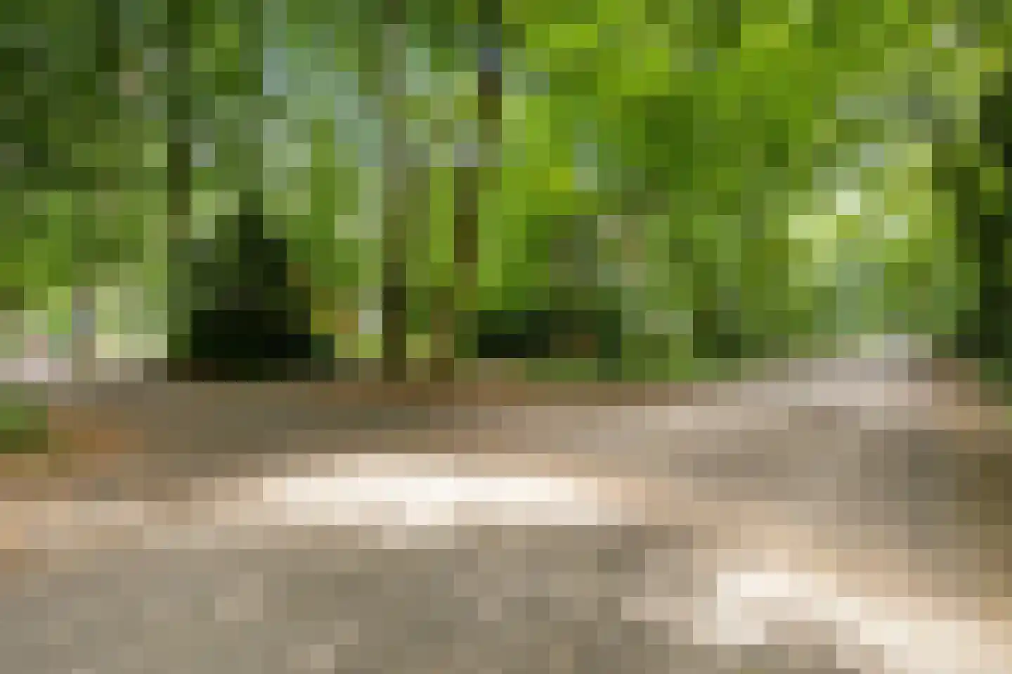 Beukenlaan 2 Norg thumbnail 7
