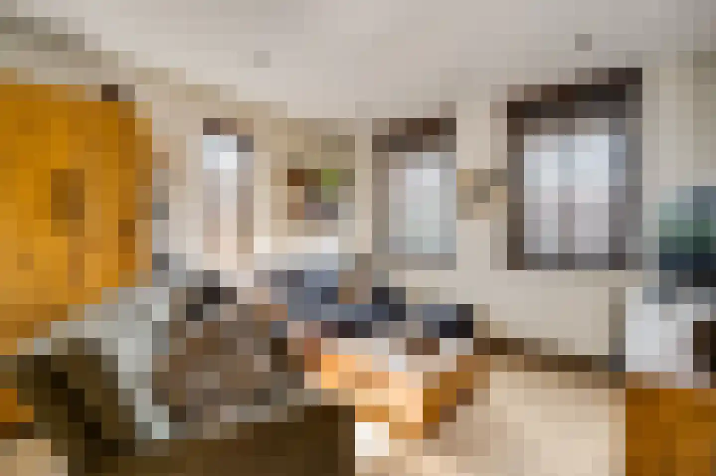 Beukenlaan 2 Roermond thumbnail 10