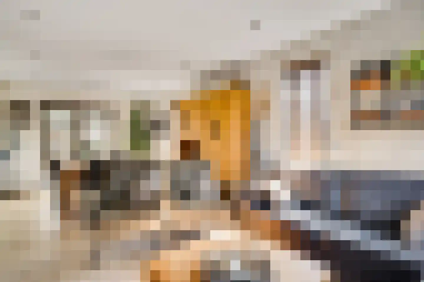 Beukenlaan 2 Roermond thumbnail 12
