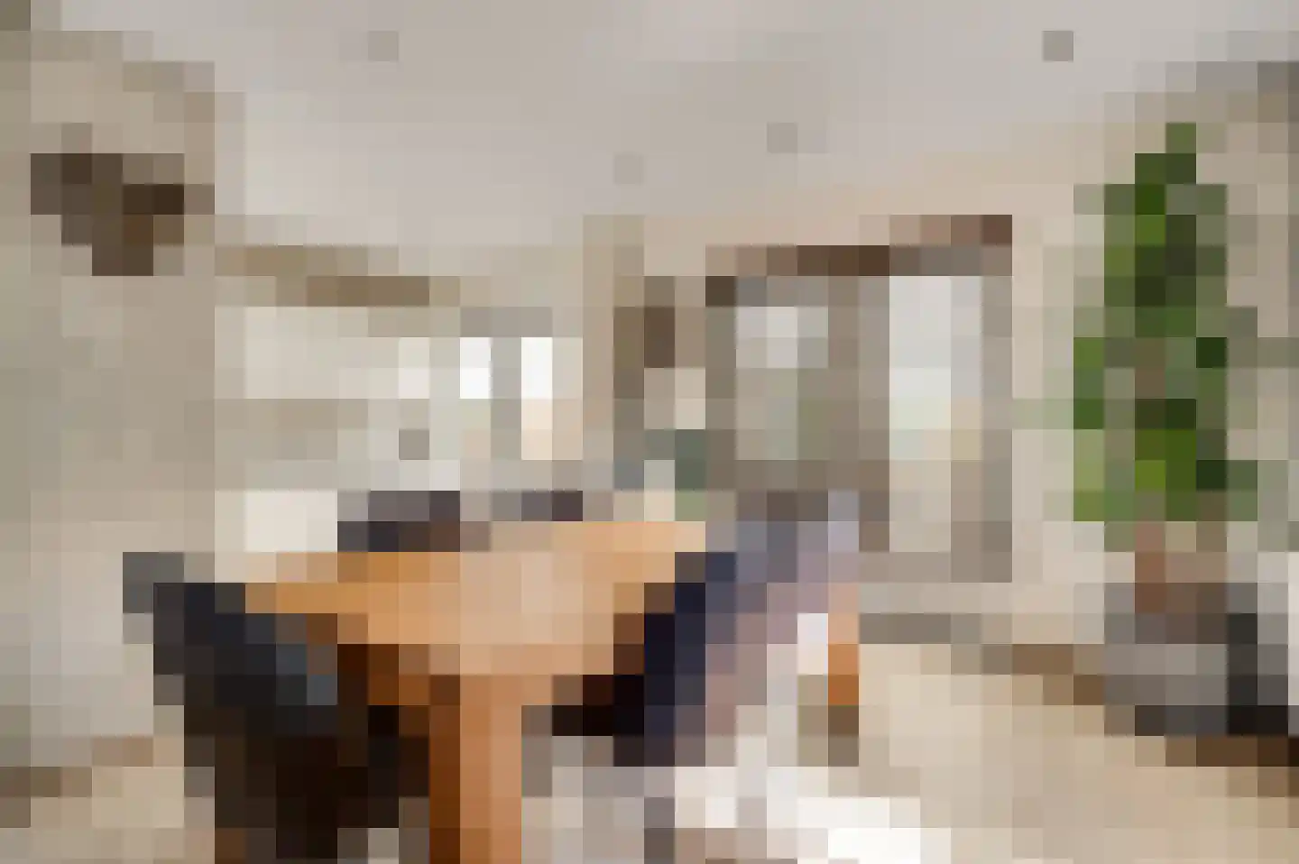 Beukenlaan 2 Roermond thumbnail 13