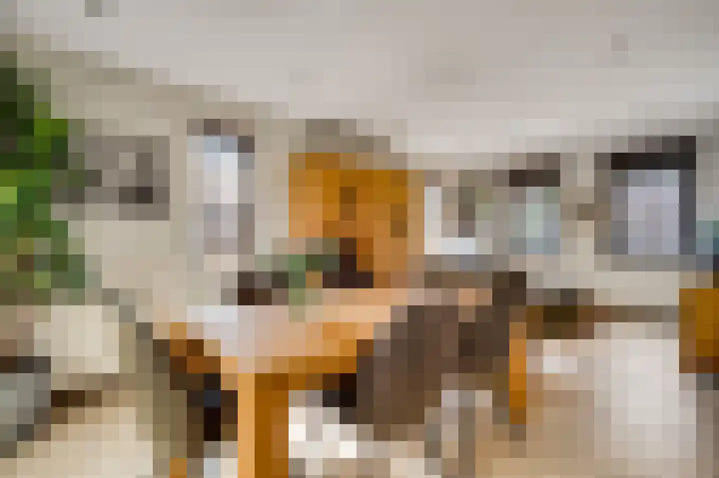 Beukenlaan 2 Roermond thumbnail 14