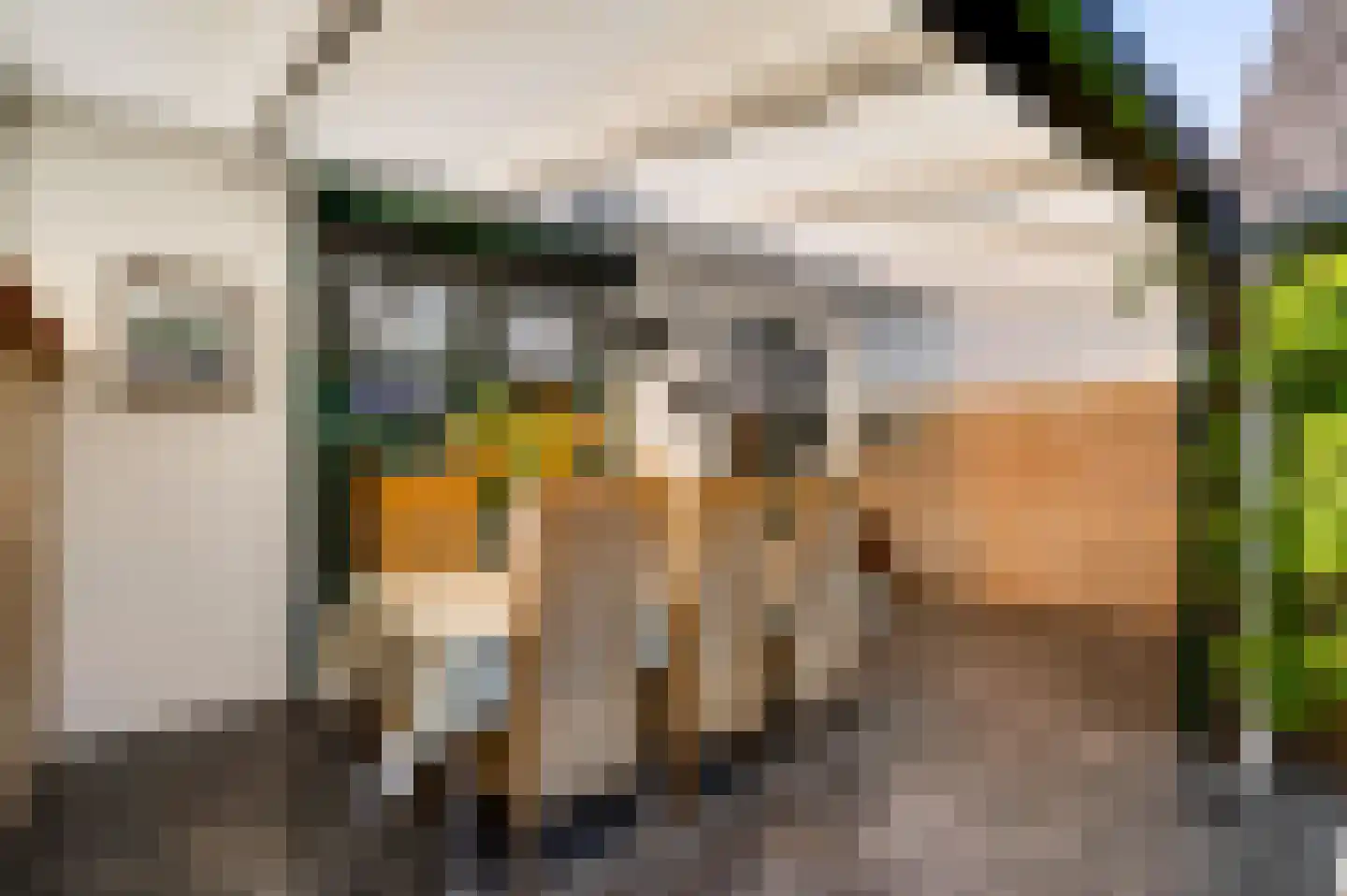 Beukenlaan 2 Roermond thumbnail 19