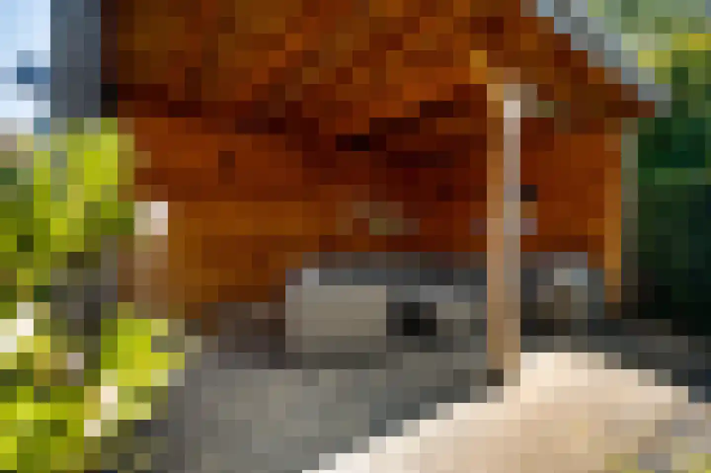 Beukenlaan 2 Roermond thumbnail 23