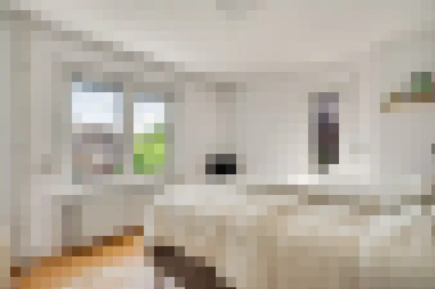 Beukenlaan 2 Roermond thumbnail 27
