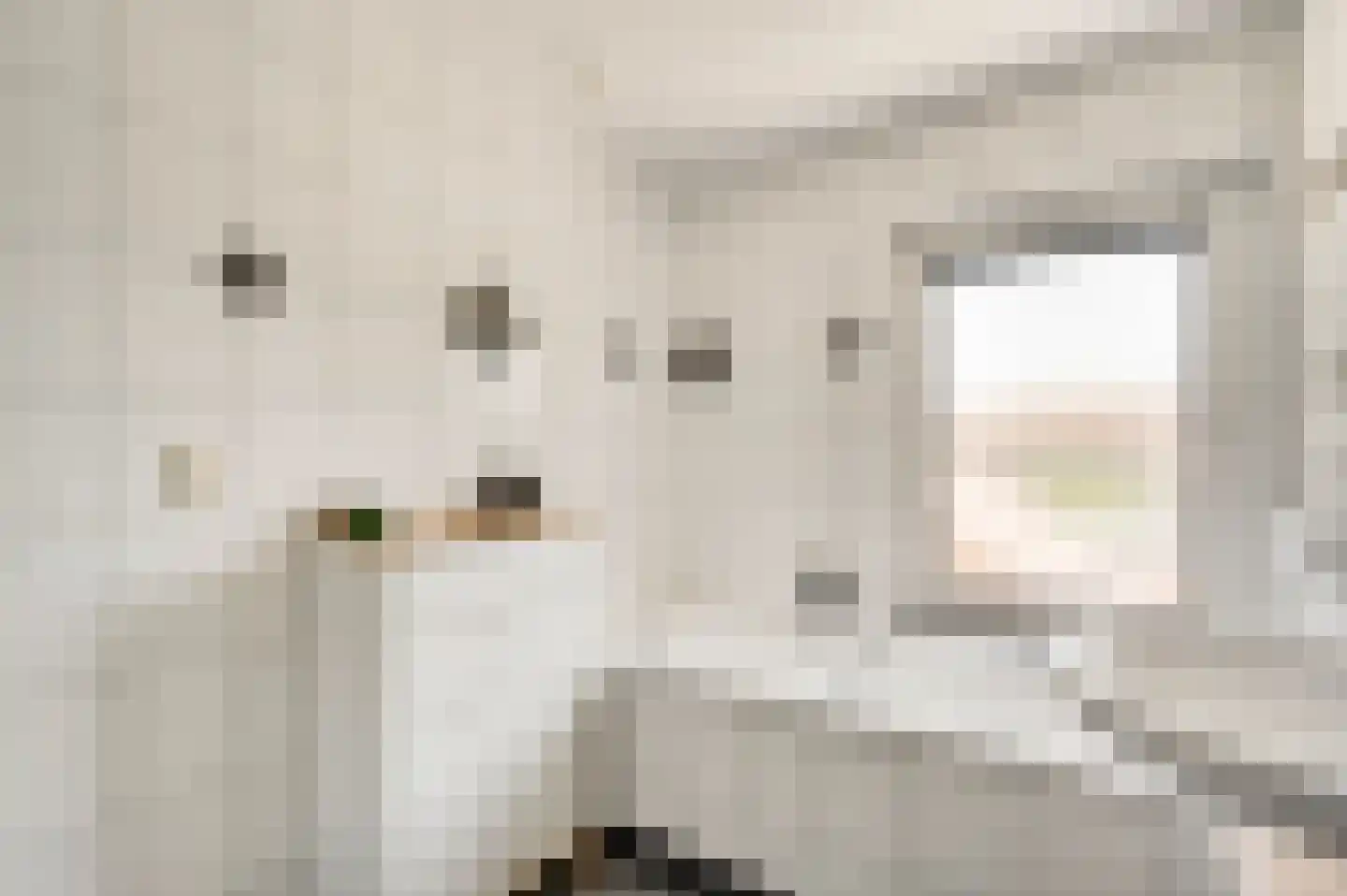 Beukenlaan 2 Roermond thumbnail 30