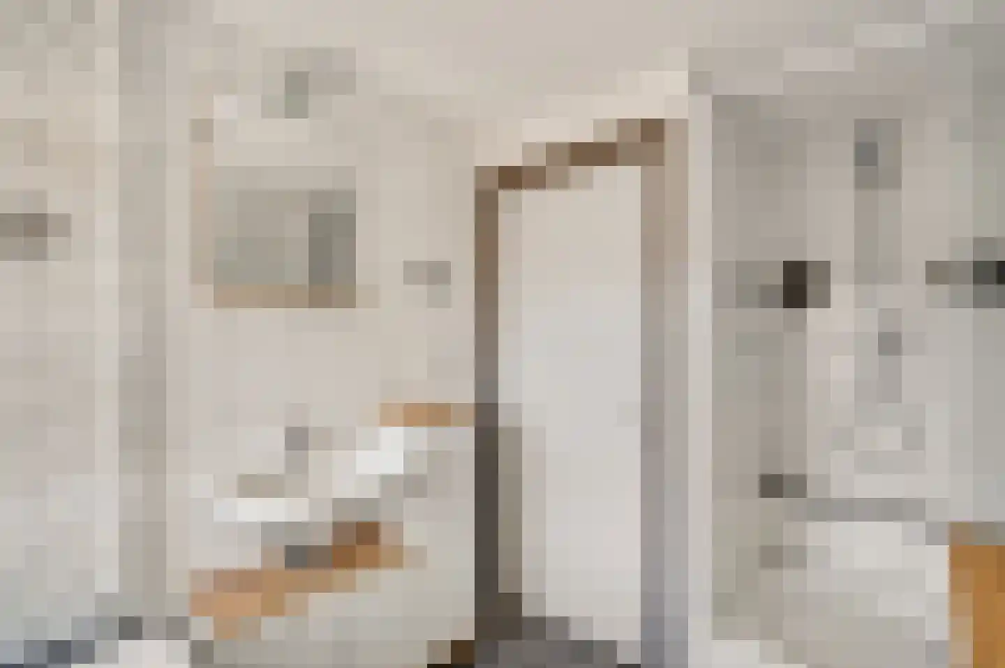 Beukenlaan 2 Roermond thumbnail 31