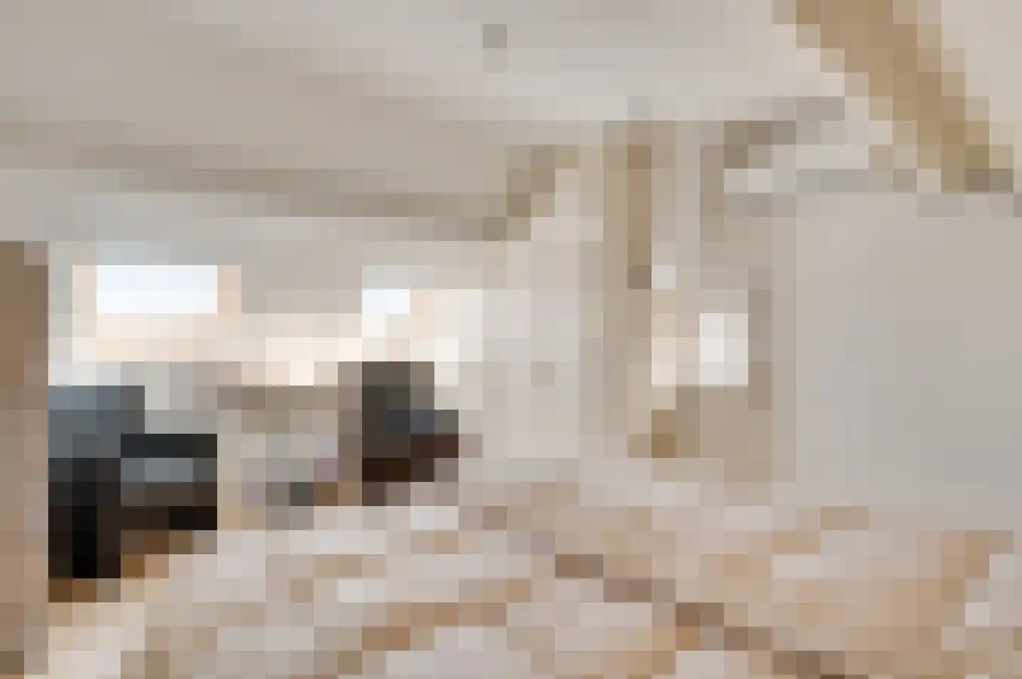 Beukenlaan 2 Roermond thumbnail 35