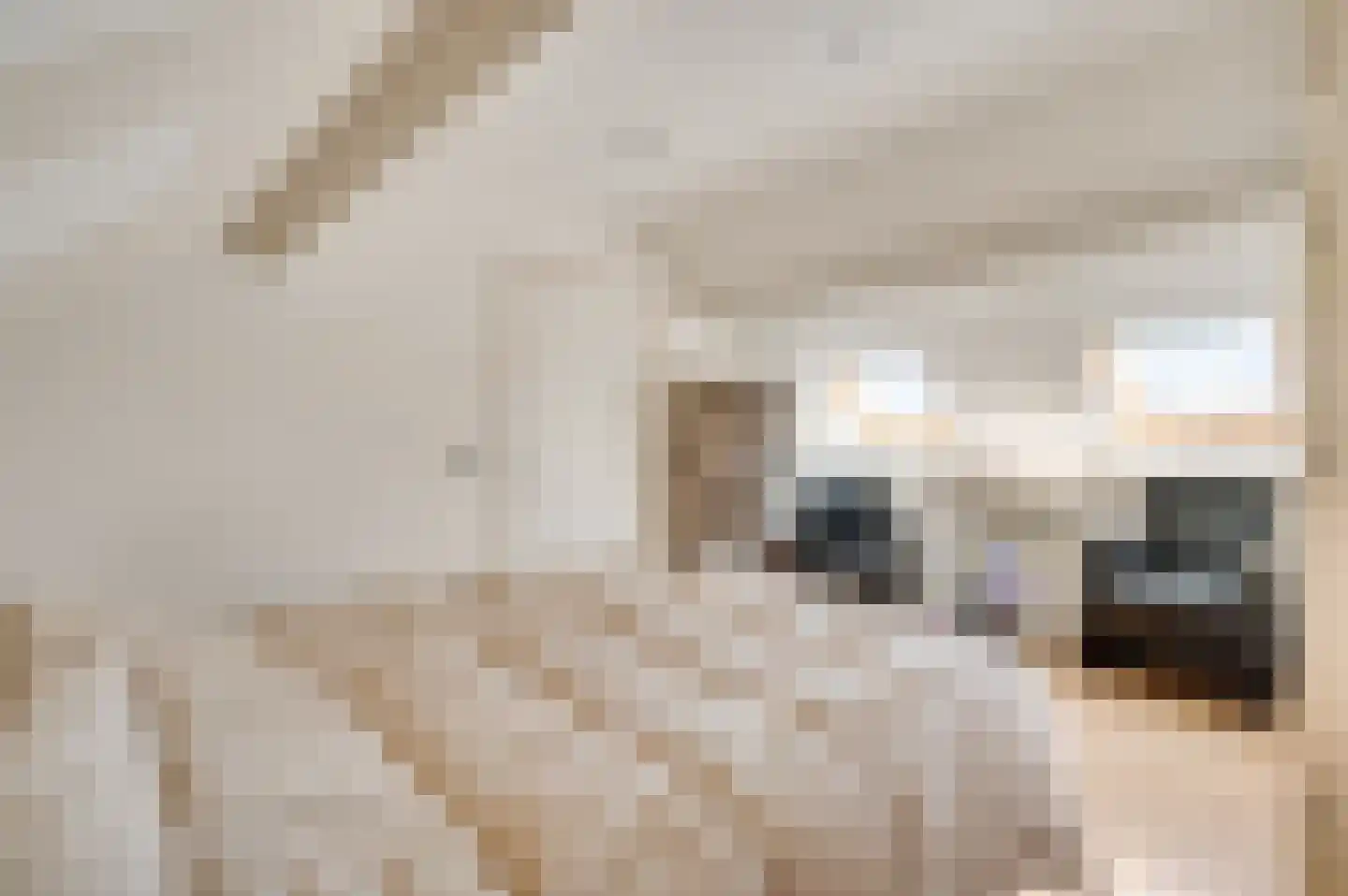 Beukenlaan 2 Roermond thumbnail 36