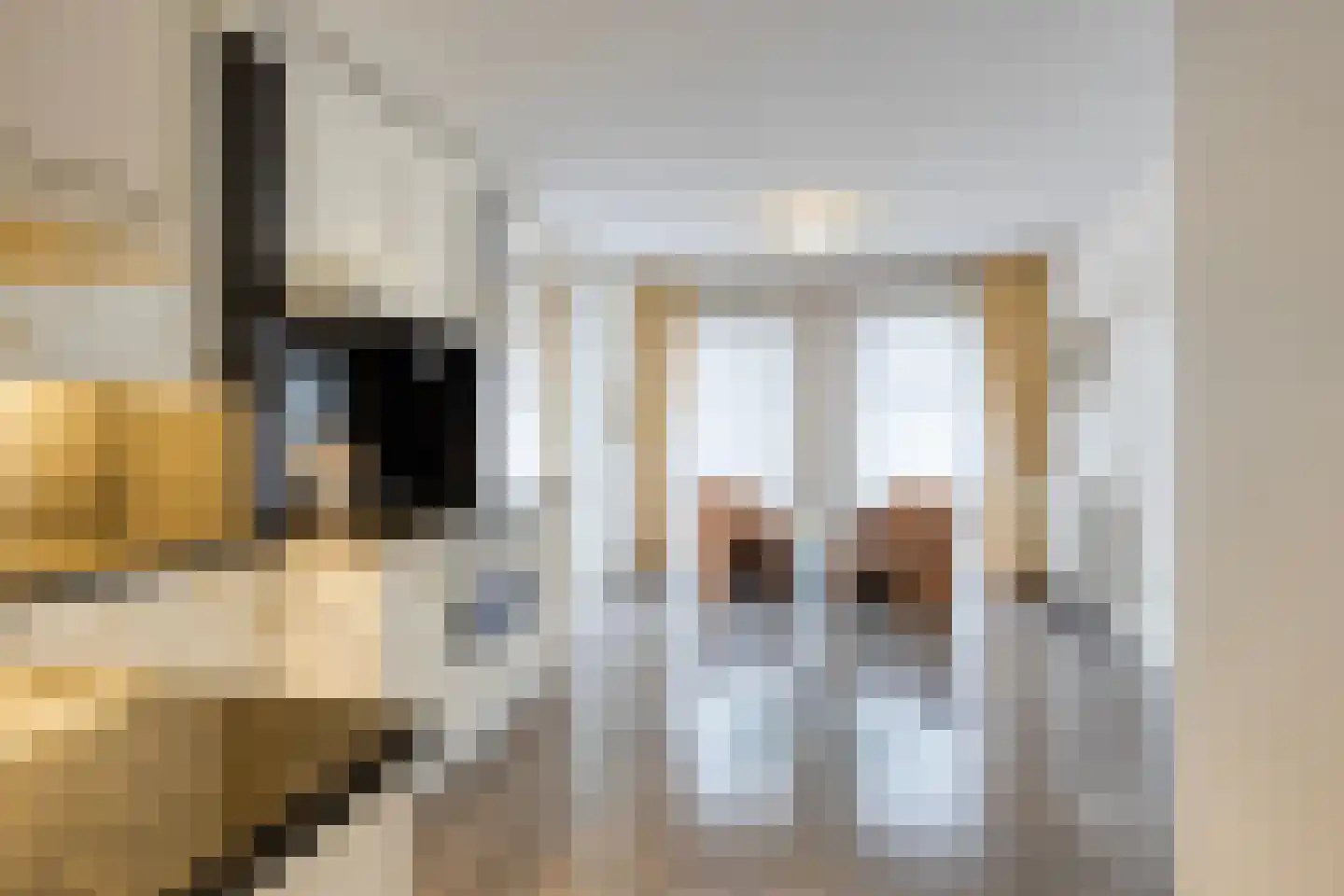 Beukenlaan 2 Vlodrop thumbnail 18