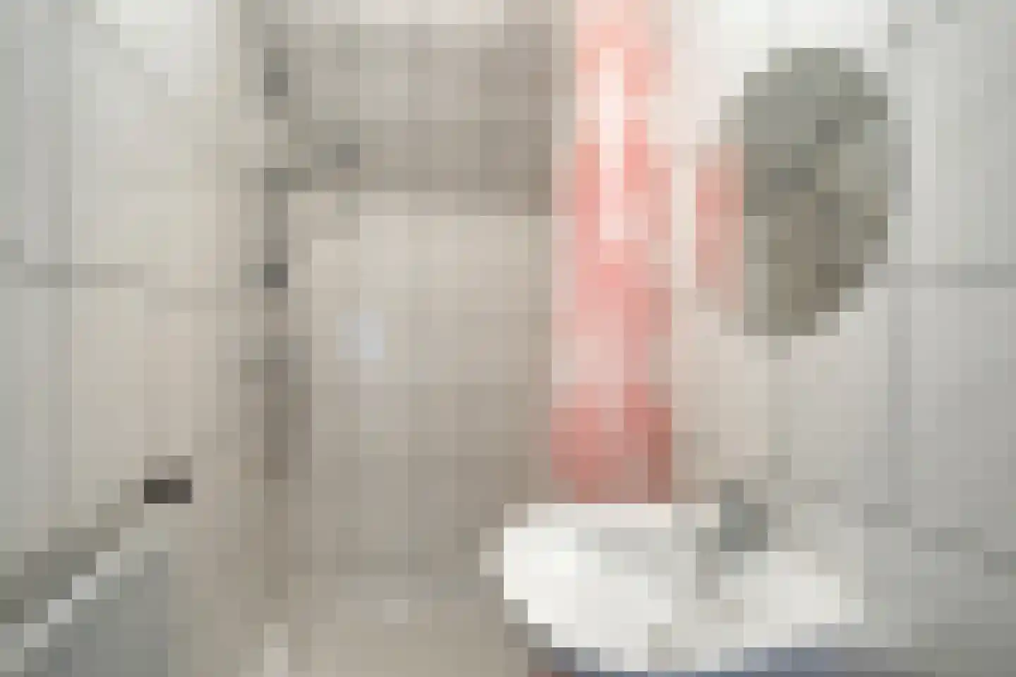 Beukenlaan 2 Vlodrop thumbnail 36