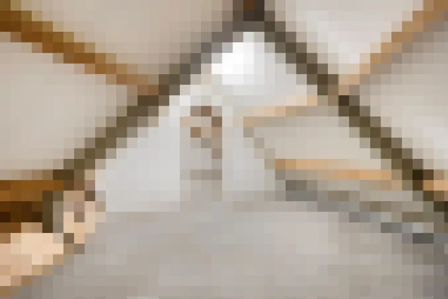 Beukenlaan 2 Vlodrop thumbnail 39