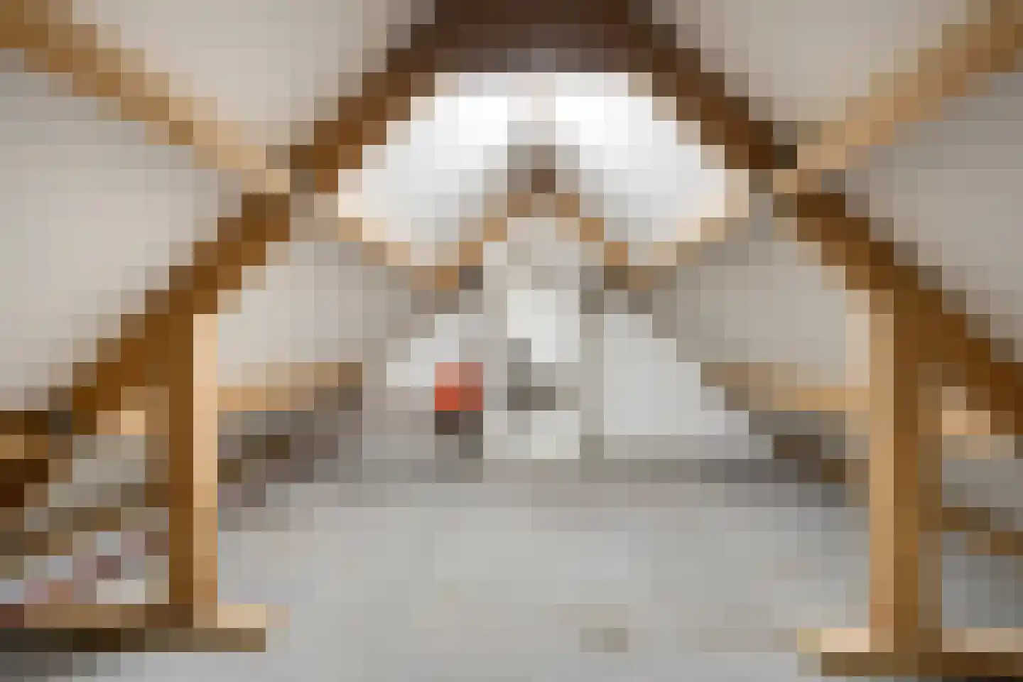 Beukenlaan 2 Vlodrop thumbnail 40
