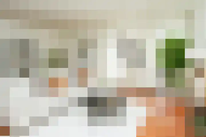 Beukenlaan 20 Molenhoek thumbnail 12