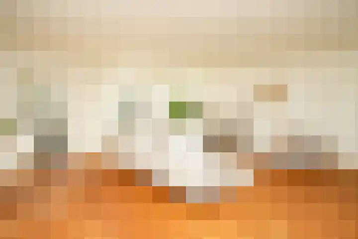 Beukenlaan 20 Molenhoek thumbnail 13
