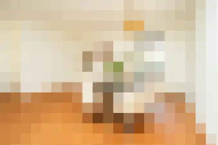 Beukenlaan 20 Molenhoek thumbnail 15