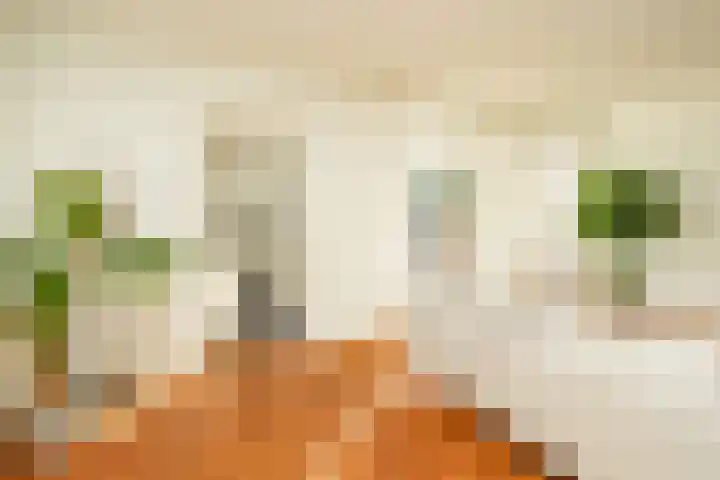 Beukenlaan 20 Molenhoek thumbnail 16