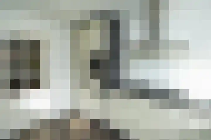 Beukenlaan 20 Molenhoek thumbnail 17