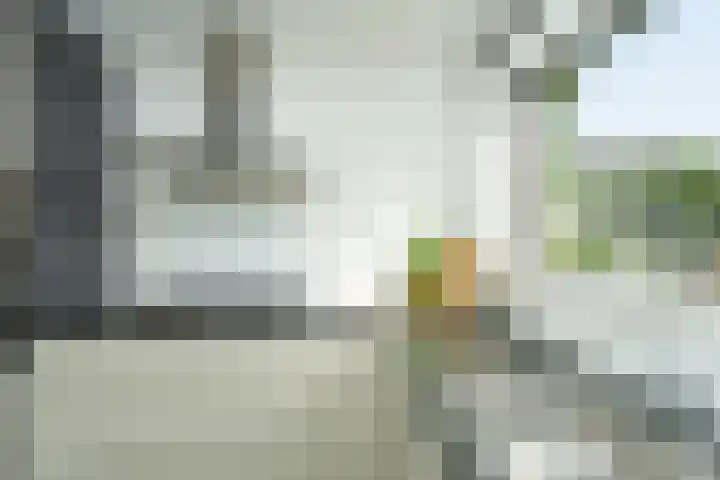 Beukenlaan 20 Molenhoek thumbnail 19