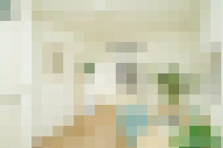Beukenlaan 20 Molenhoek thumbnail 25